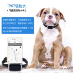 ردیاب سیم کارتی هوشمند حیوانات خانگی مدل G12 (ضدآب)