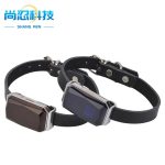 ردیاب سیم کارتی هوشمند حیوانات خانگی مدل G12 (ضدآب) - Image 3