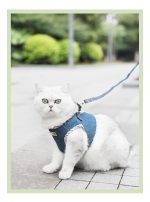 قلاده کتفی سگ و گربهHipidog - Image 3