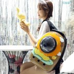 کوله پشتی فضایی حمل سگ و گربه و جوندگان (SPACE CAPSULE BACKPACK) دی پی اس - Image 2