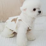 لباس سگ و گربه Teddy bear - Image 4