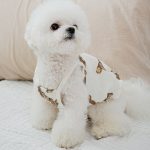 لباس سگ و گربه Teddy bear