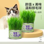 علف گربه ( cat grass )
