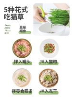 علف گربه ( cat grass ) - Image 6