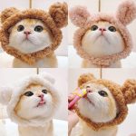 کلاه تدی  puppy & kitten