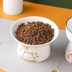 ظرف غذای سرامیکی Rich pet - Image 4