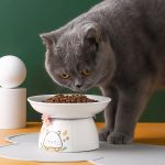 ظرف غذای سرامیکی Rich pet