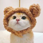 کلاه تدی  puppy & kitten - Image 2
