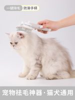 برس دارای پورت آنیونی PET Anion Blue Comb - Image 4