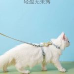 قلاده کتفی مدل lovely rabbits