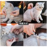 قلاده کتفی مدل lovely rabbits - Image 4