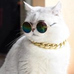 عینک آفتابی سگ و گربه برند Lion pet - Image 3