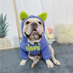 هودی کلاه دار مخصوص حیوانات Lucky Dog - Image 2