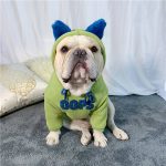 هودی کلاه دار مخصوص حیوانات Lucky Dog - Image 4