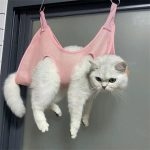 نگهدارنده نظافت سگ وگربه - Image 3