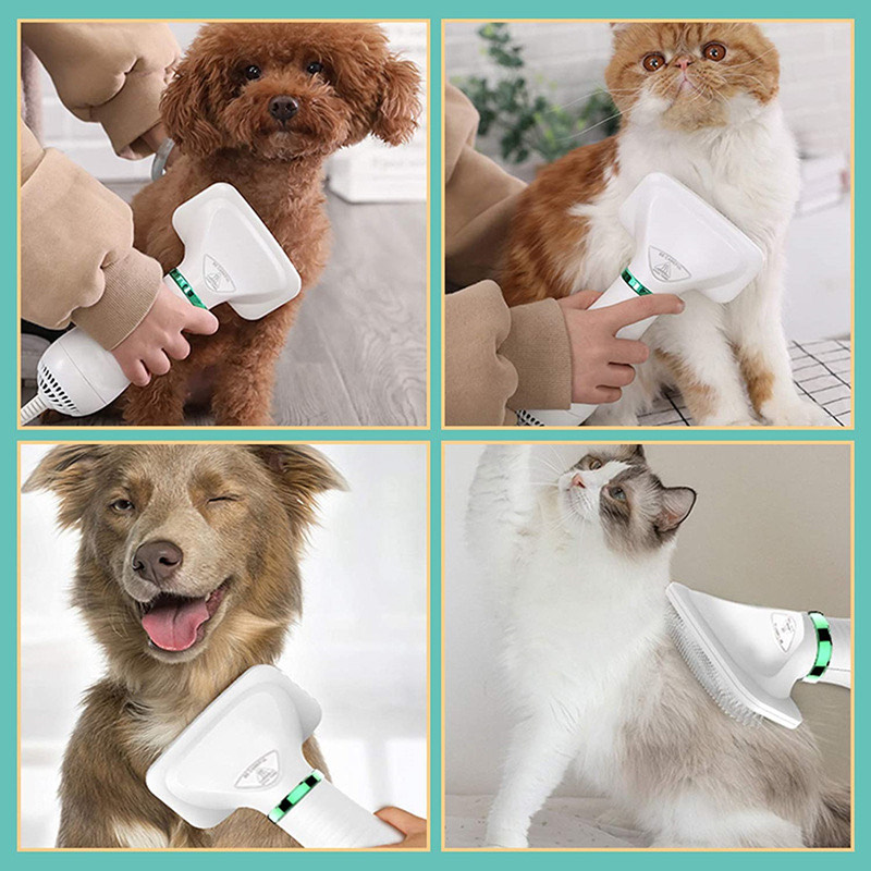 IMG_6227 سشوار حیوانات خانگی مدل PET.GROOMING.DRYER - Image 1