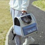 کیف حمل حیوانات خانگی Hello cats - Image 2