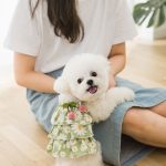 لباس بهاری مخصوص سگ و گربه برند hipidog - Image 2