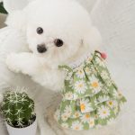 لباس بهاری مخصوص سگ و گربه برند hipidog - Image 4