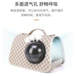 کیف حمل حیوانات مدل fendi - Image 3
