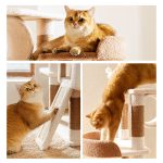 اسکرچر catty land - Image 2