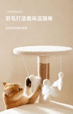 اسکرچر catty land - Image 4