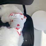 تاپ تابستانه سگ و گربه مدل love bits - Image 4