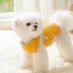 ژیله بافت مخصوص سگ و گربه - Image 3