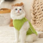 ژیله بافت مخصوص سگ و گربه - Image 4