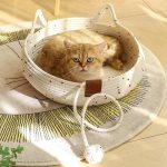 جای خواب قیطانی مخصوص سگ و گربه