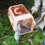 باکس حمل سگ و گربه وارداتی - Image 2