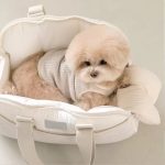 کیف حمل پت برند AMEEKLION - Image 4