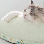 جای خواب مخصوص سگ و گربه برند hipipet - Image 9
