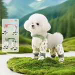 کفش لباسی ضدآب سگ و گربه