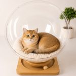 جای خواب شیشه ای گربه مدل فضایی