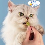 تشویقی بیسکوییت مخصوص گربه - Image 7