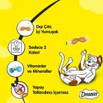 تشویقی گربه دریمیز (Dreamies) تحت سفارش لهستان - Image 2