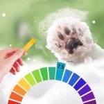 شامپو مخصوص سگ برند hipidog - Image 4