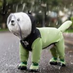 لباس بارانی کفش دار مخصوص سگ و گربه برند hipidog